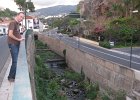IMG 0994