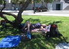 IMG 1170